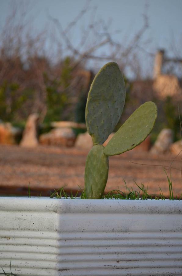 Masseria Poli Country House Conversano Eksteriør bilde